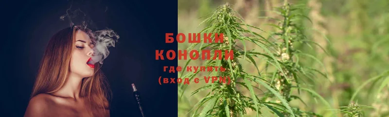 купить наркотики сайты  Мурино  Каннабис Ganja 